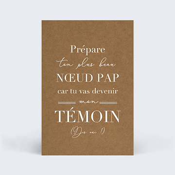 Coffret Pastis/Ricard Demande de témoin, mariage, demande témoin