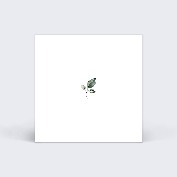 Etiquette Baptême Herbarium Verso