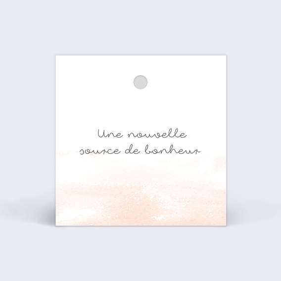Etiquette naissance Brume