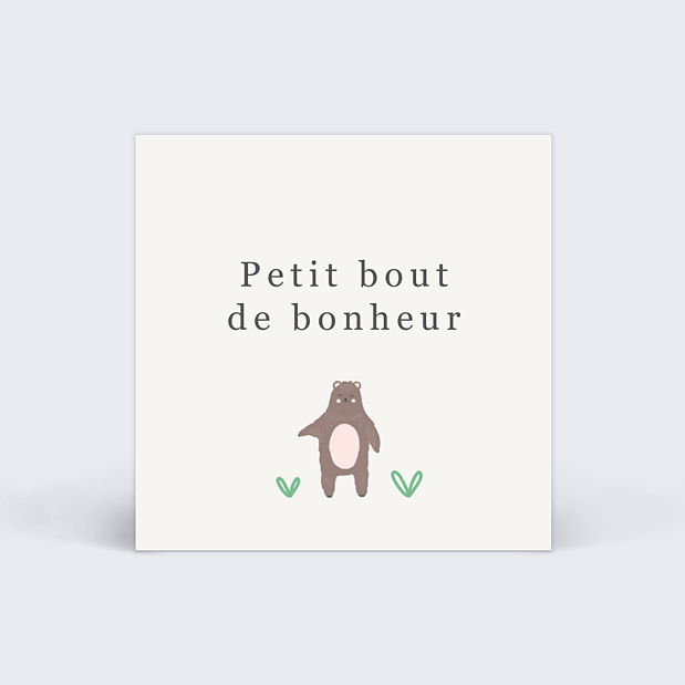 Etiquette Naissance Animaux Pattern Recto