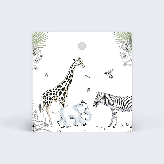Etiquette Naissance Animaux Sauvages