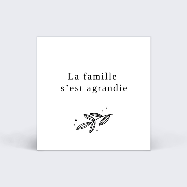 Étiquette Naissance Tampon Délicatesse Recto