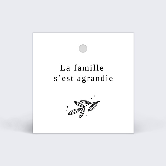 Etiquette naissance Tampon Délicatesse