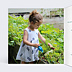 Faire-part Baptême Petites fleurs bleues
