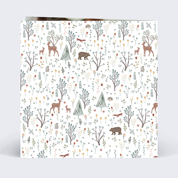 Faire-part baptême Printemps Photo Verso