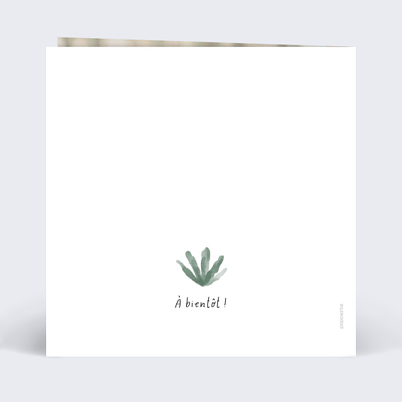 Faire-part baptême Couronne jungle Verso