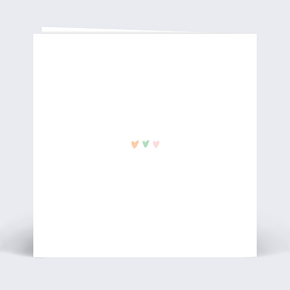 Faire-part baptême Faire-part baptême Fleurs des champs Verso