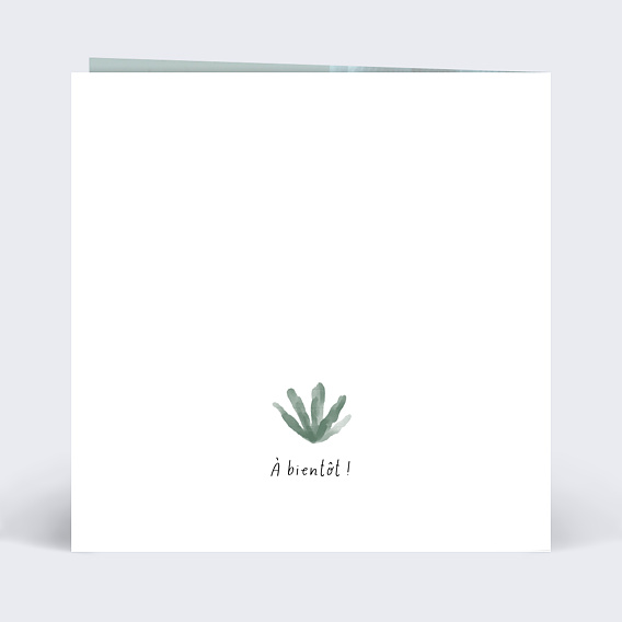 Faire-part baptême Jungle Sauvage Verso