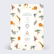 Pictogrammes Jungle