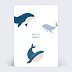Faire-part baptême Rêve de baleine