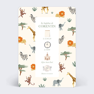 Faire-part Baptme Pictogrammes Jungle