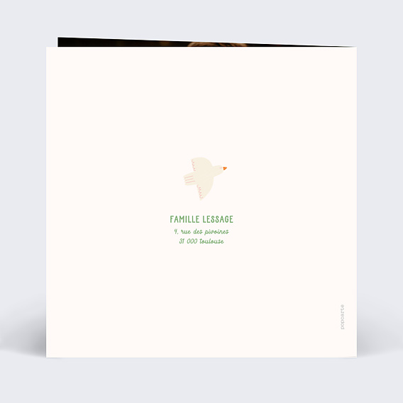 Faire-part baptême Colombe bleue Verso