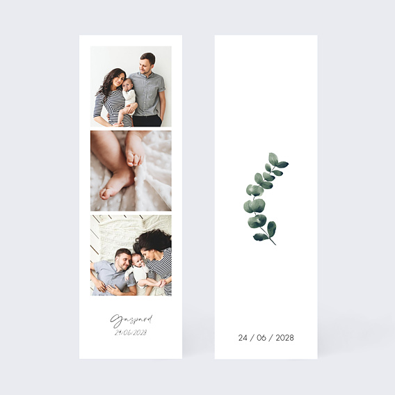 Faire-part baptême Branche d'Eucalyptus