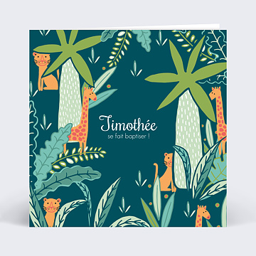 Faire-part Baptme Animaux Colors