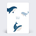 Faire-part Baptême Rêve de baleine