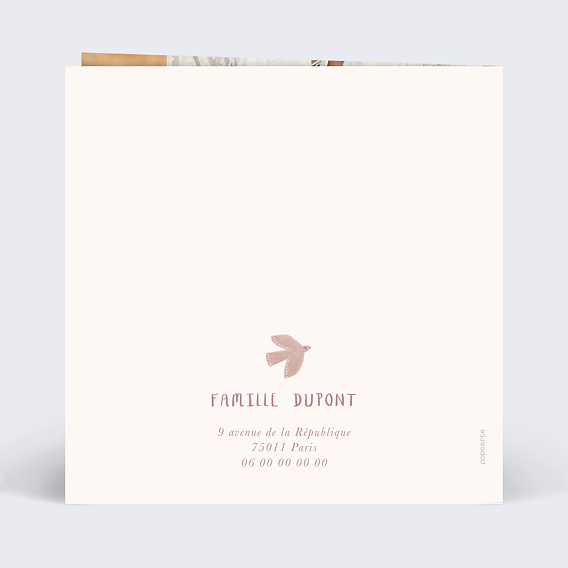 Faire-part baptême Princesse Pastel Verso