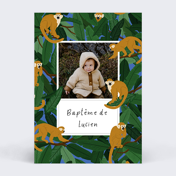 Faire-part baptême Singes