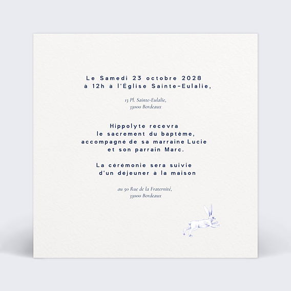 Faire-part baptême Lapin Toile de Jouy Verso