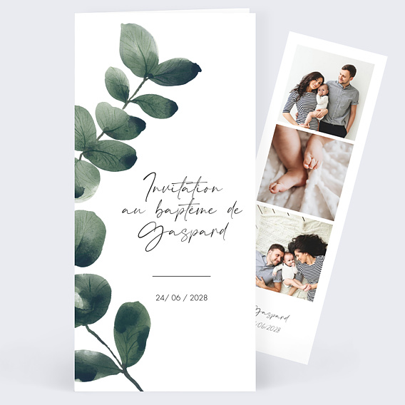 Faire-part baptême  Branche d'Eucalyptus