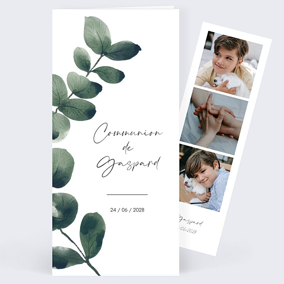 Faire-part Communion Branche d'Eucalyptus