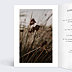 Faire-part Mariage Polaroïd 3 Photos