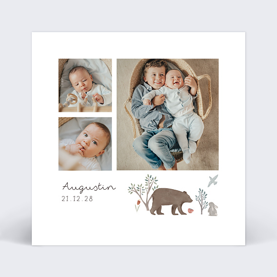 Faire part naissance Ourson
