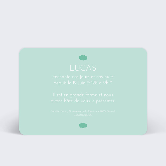 Faire part naissance Nuage vert Verso