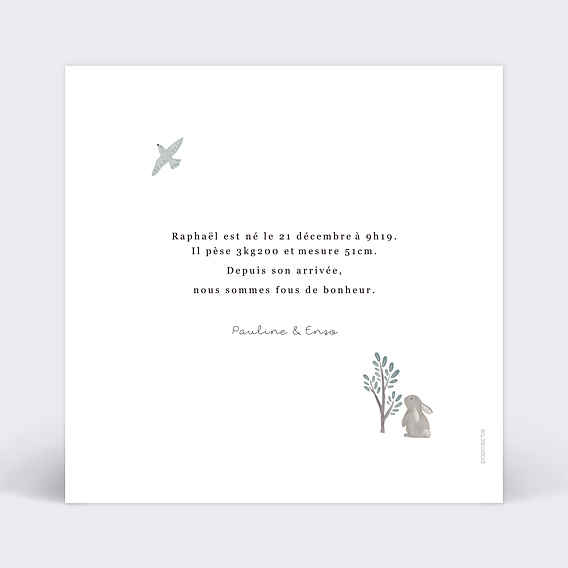 Faire part naissance Ourson Verso