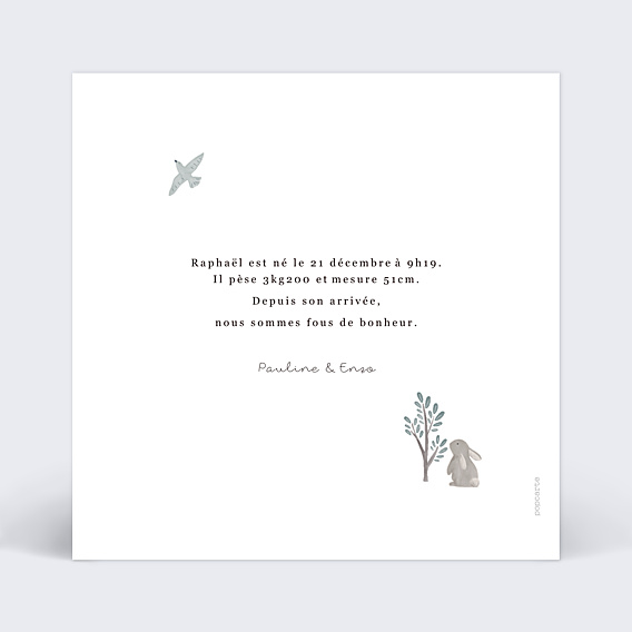 Faire-part Naissance Ourson