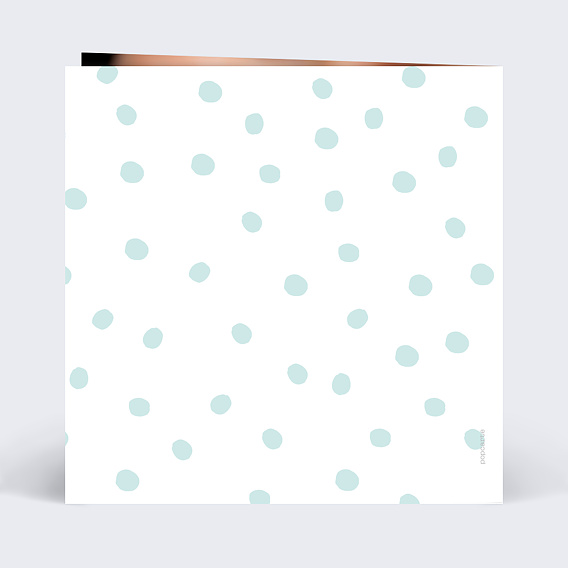 Faire part naissance Chic Pois Verso