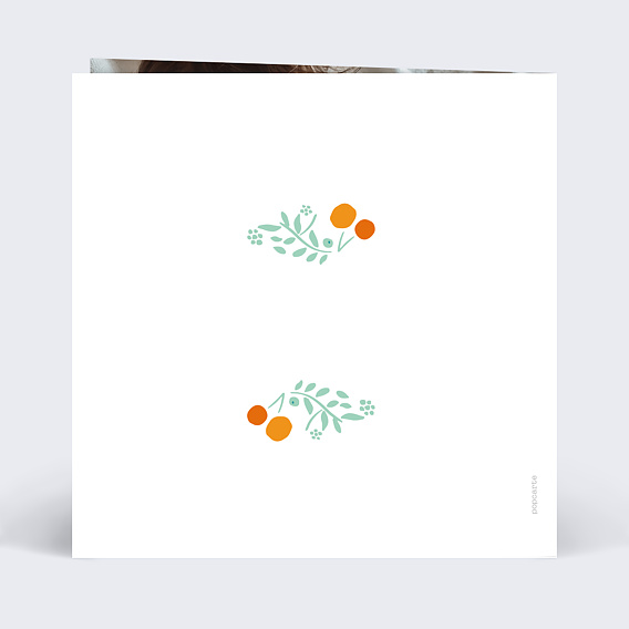 Faire part naissance Liberty Jolis Fruits Verso