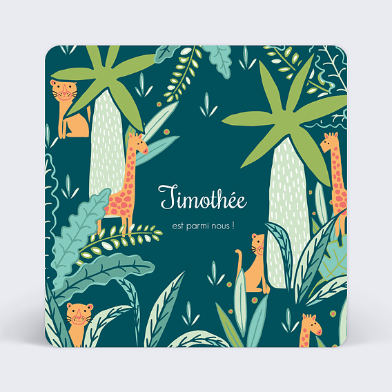 Faire part naissance Animaux de la Jungle
