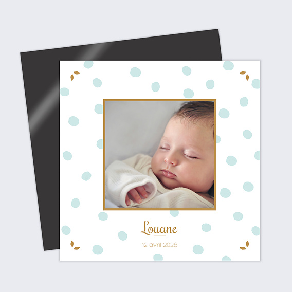 Faire part naissance Chic Pois