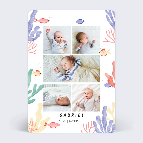 Faire-part Naissance Aquatique