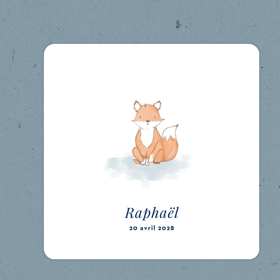 Baby Fox