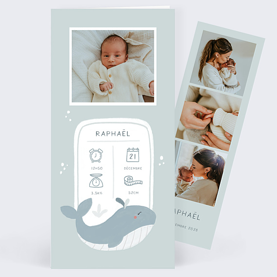 Faire-part Naissance Baleine certificat