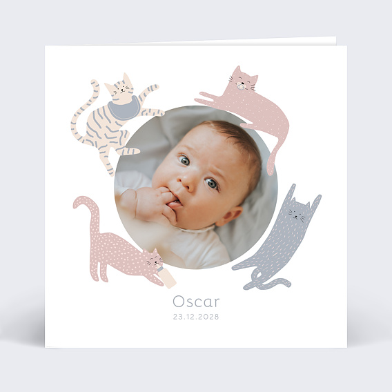 Faire part naissance Couronne de Chats