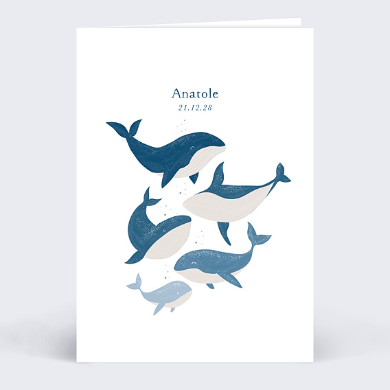 Faire part naissance Famille Baleine