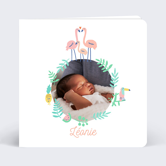 Faire part naissance Flamants Roses
