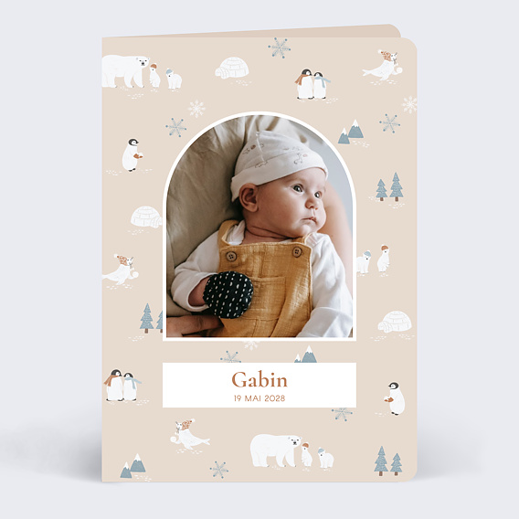 Faire part naissance Motif hivernal