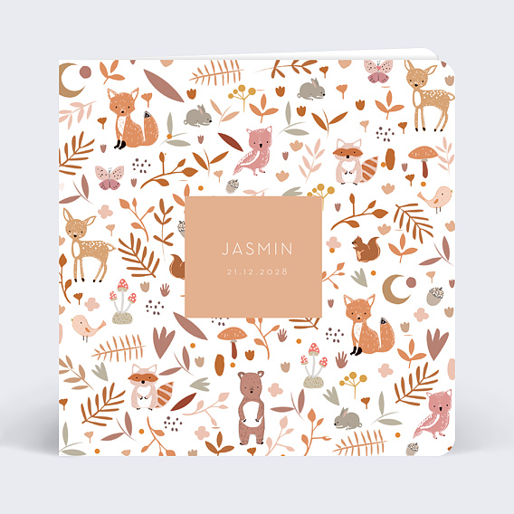 Faire part naissance Jasmin