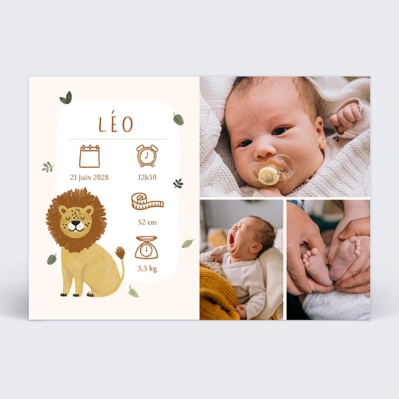 Faire part naissance Lion picto