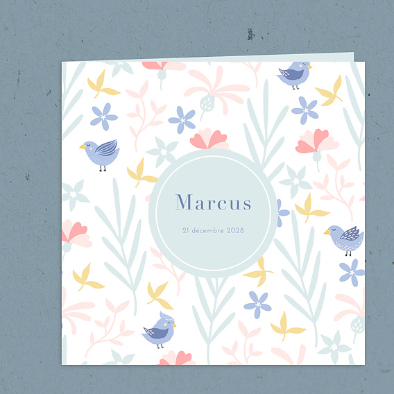 Faire part naissance Oisillons