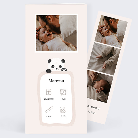 Faire-part Naissance Pictos panda