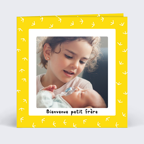 Faire-part Naissance Petit frère poussin