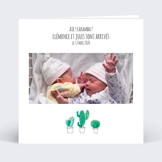 Faire-part Naissance Petits cactus jumeaux