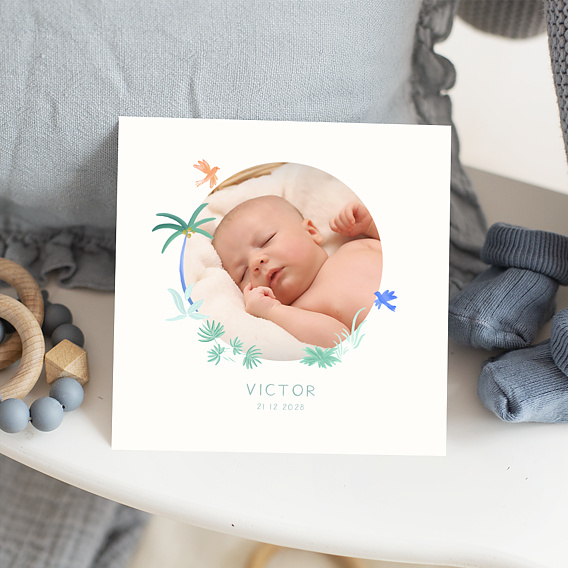 Faire part naissance Petits oiseaux