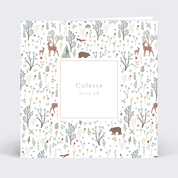 Faire-part Naissance Printemps Etiquette