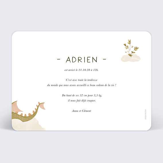 Faire part naissance Dragon Verso