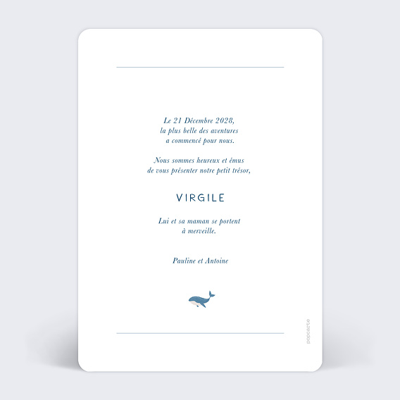 Faire part naissance Pictogrammes Baleineau Verso